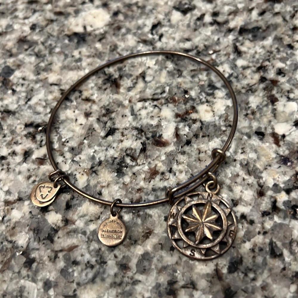 Alex and Ani compass bangle